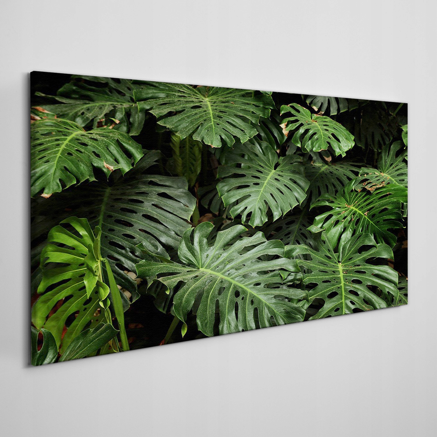 

Foto-obraz na ramie płótno Roślin liście 120x60 cm