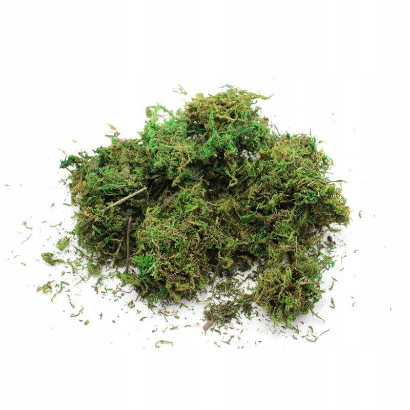 

Mech dekoracyjny zielony 500ml