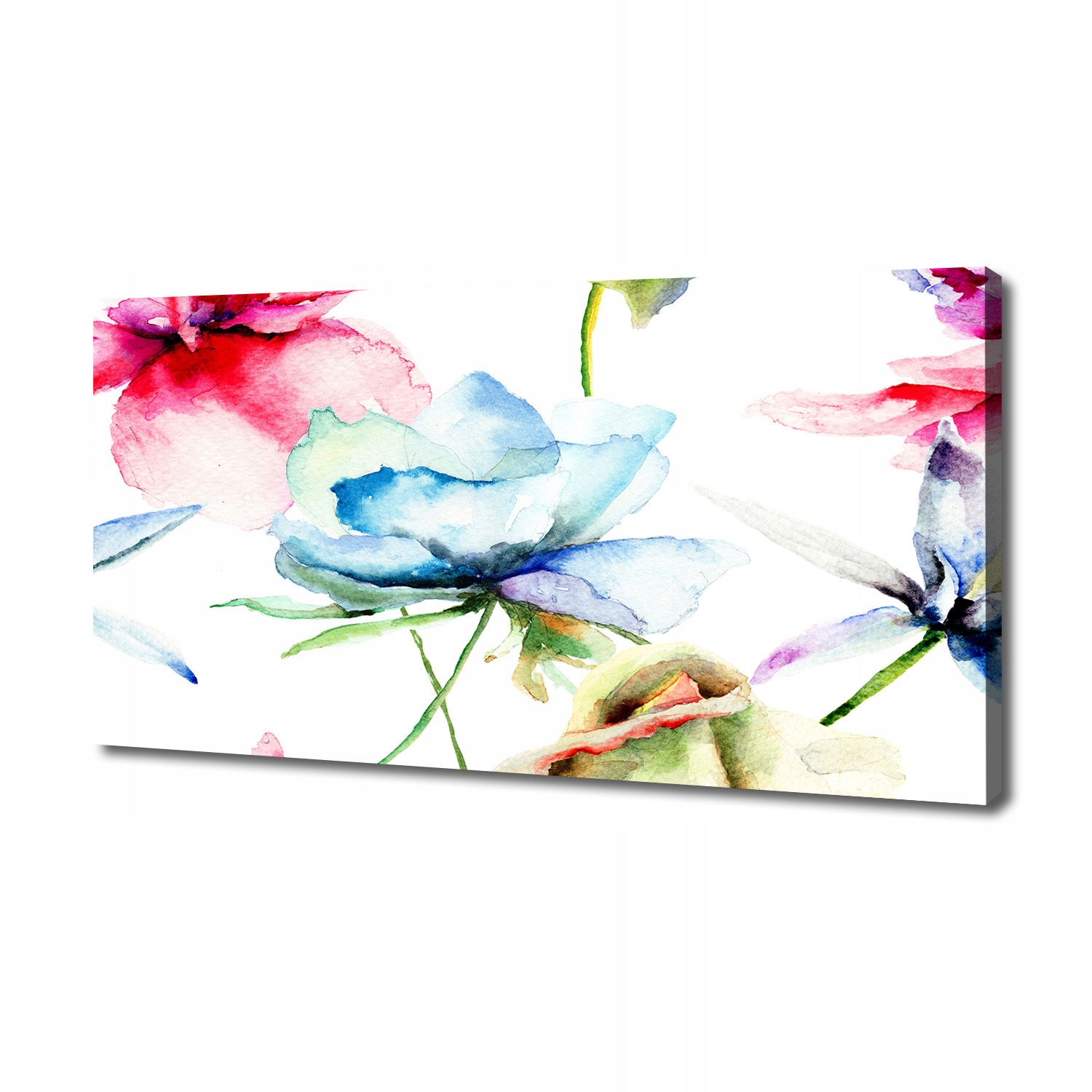 

Obraz zdjęcie na płótnie nowoczesny Maki 140x70 cm