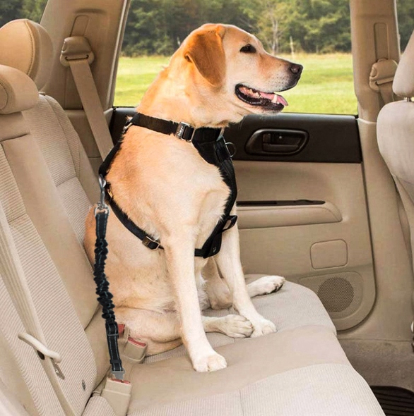 Pasy Bezpieczeństwa dla Psa Smycz do Samochodu XXL Waga produktu z opakowaniem jednostkowym 0.103 kg