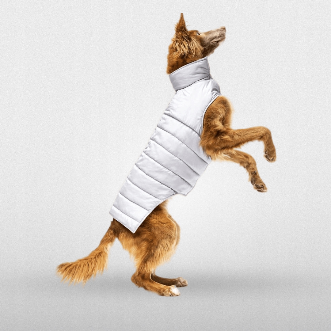 Bunda Derka Pro Psa Šedá Woofit Šedá 1-S