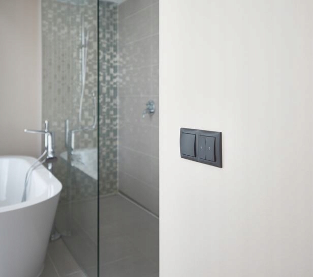 BERKER B.X Płytka czołowa do gniazda UAE podwójna Rodzaj gniazda ścienne