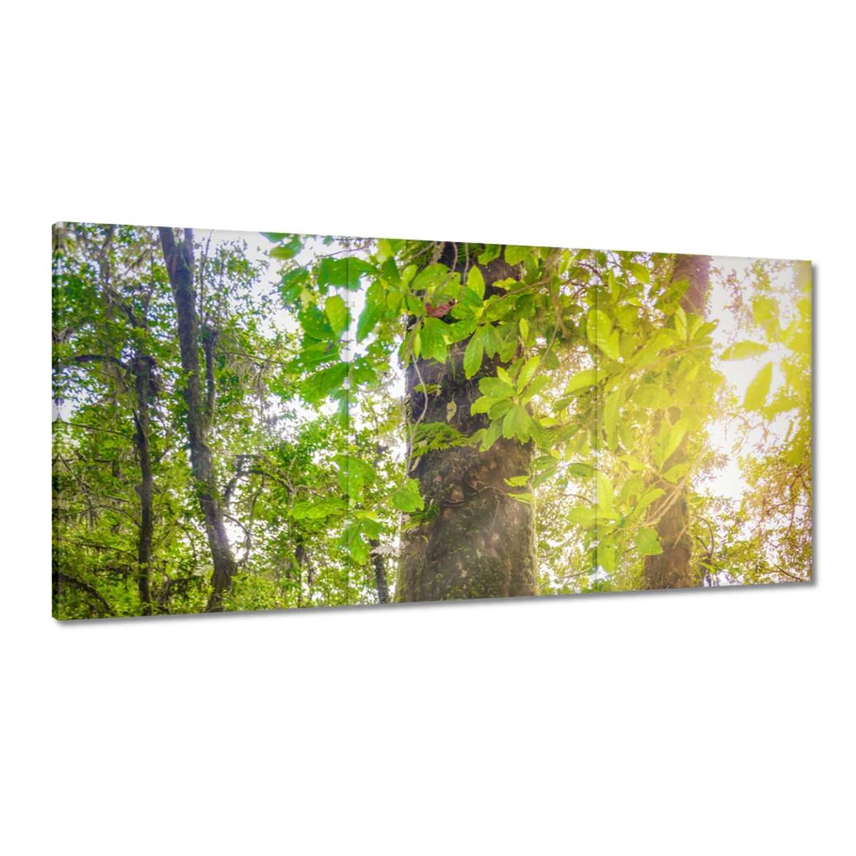 Obrazy 180x90 Pešia exkurzia