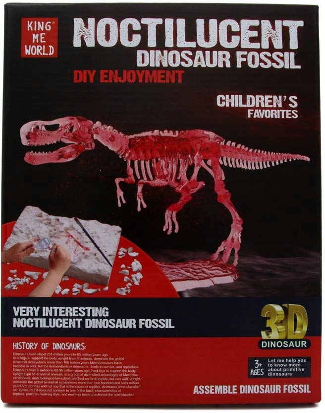 

Wykopaliska Skamielin Dinozaur Szkielet Tyranozaur