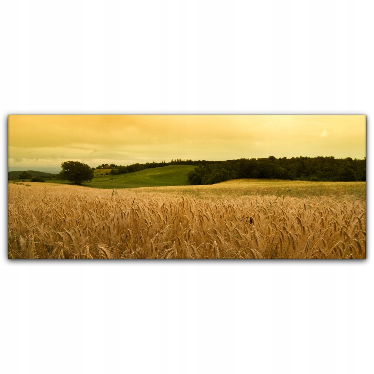 

Obraz na płótnie do salonu 125x50 Ziarno Pole Wieś
