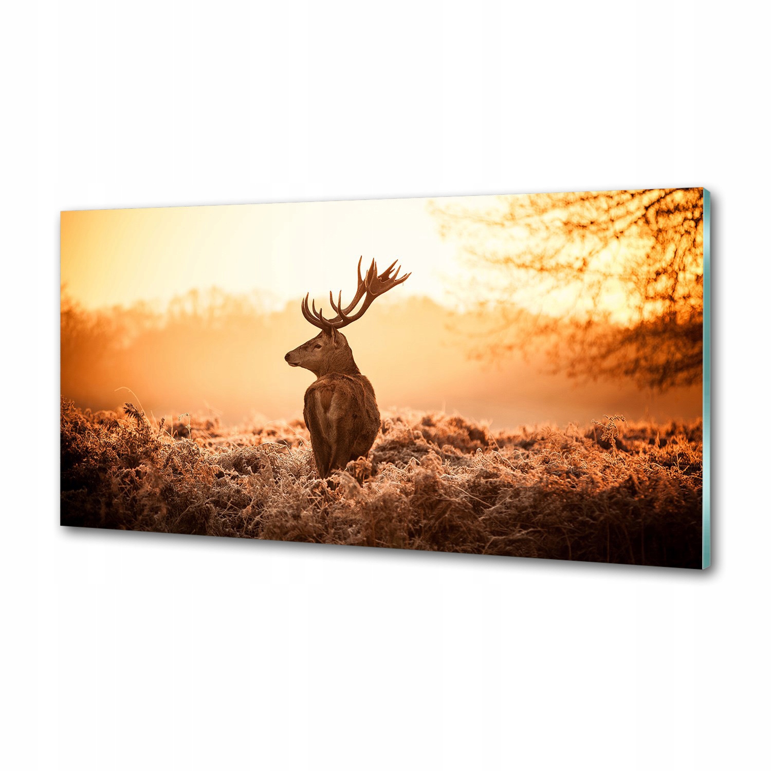 Panel lacobel Jeleň východ slnka 100x50 cm Lepidlo