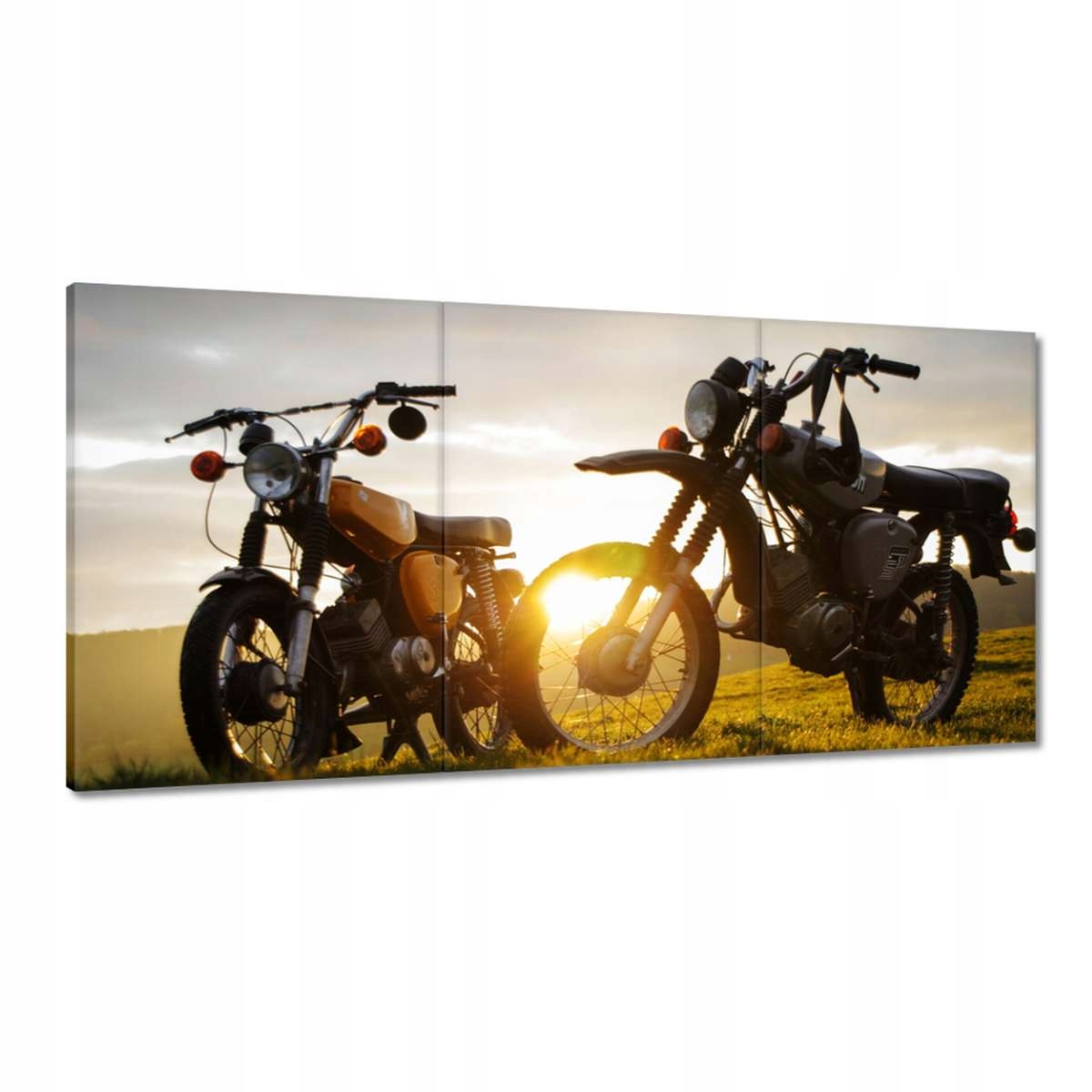 Obrazy 180x90 Simsonkami v prírode