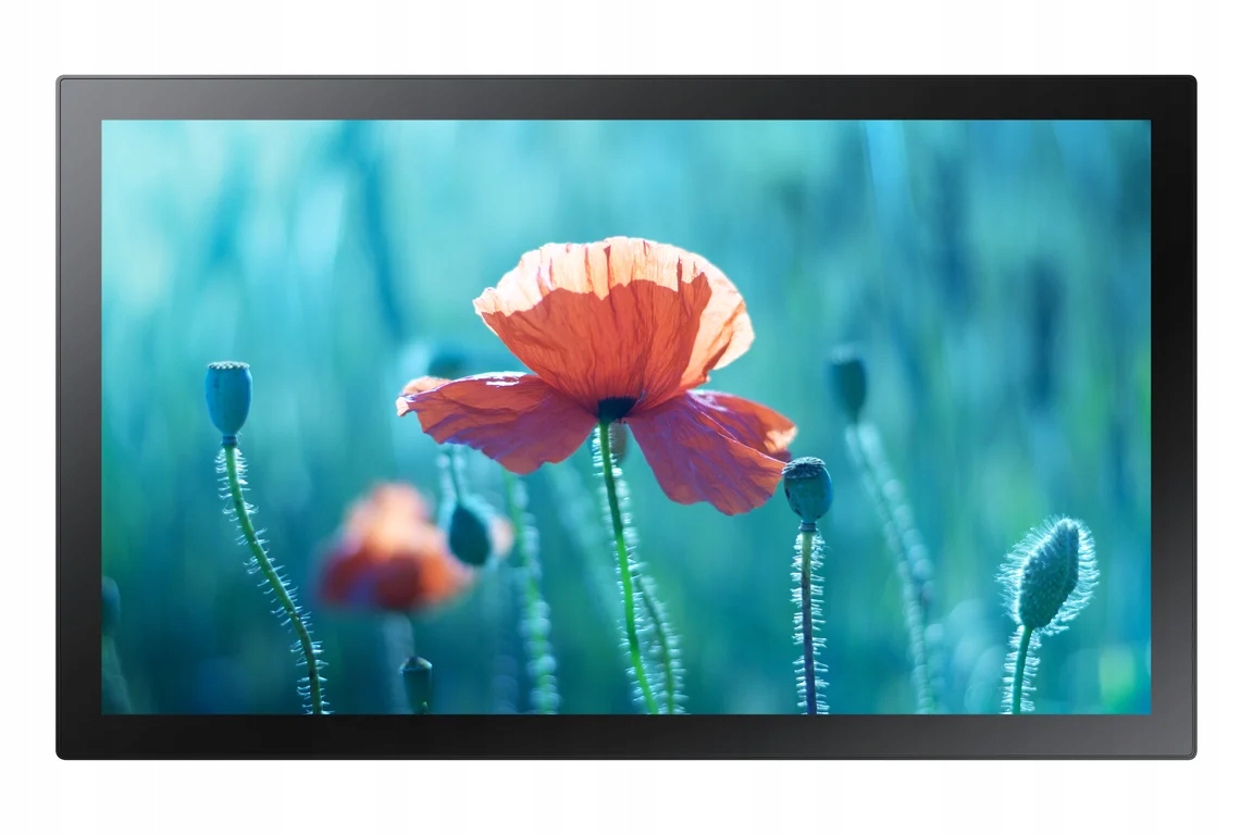 Led Monitor Samsung LH13QBRTMGCXEN 13" 1920 x 1080 px