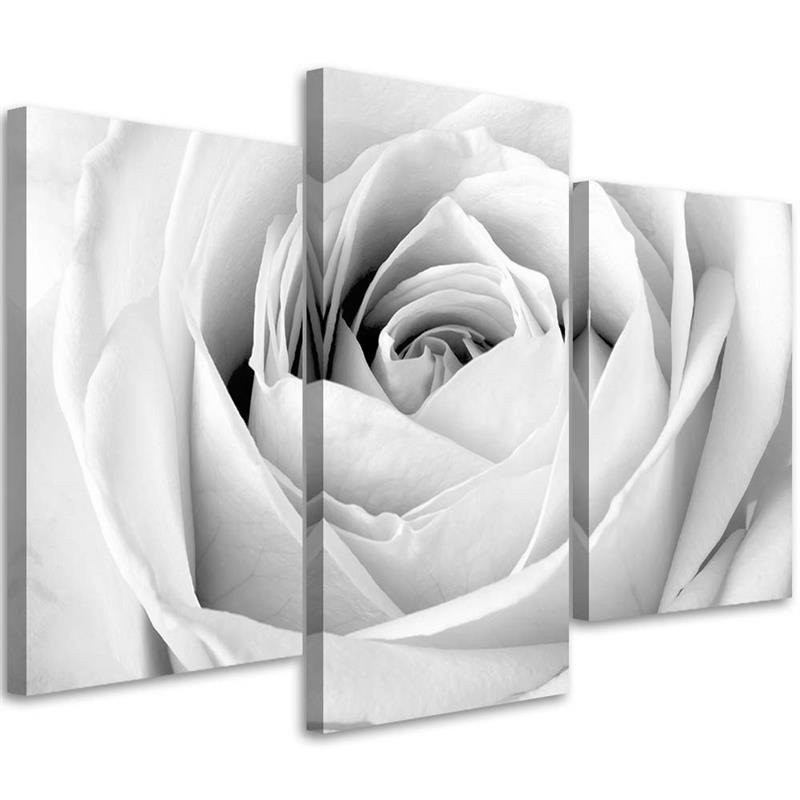 Triptych Obraz Na Plátně Bílá růže Květiny 60x40