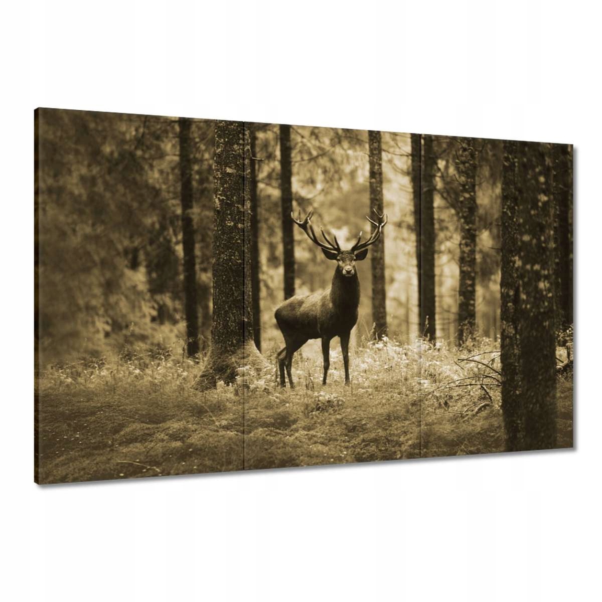 Obrazy 120x80 Jelen v lese Sepia