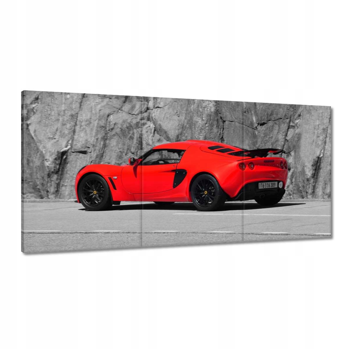 Obrazy 120x60 Červený Lotus