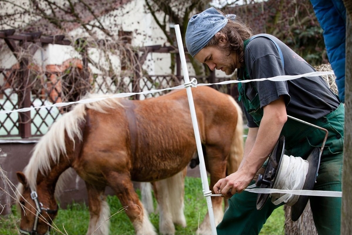 Taśma 20mm dla koni elektryczna 200m do pastucha pastuch elektryzator 2cm Kod producenta MTR060R