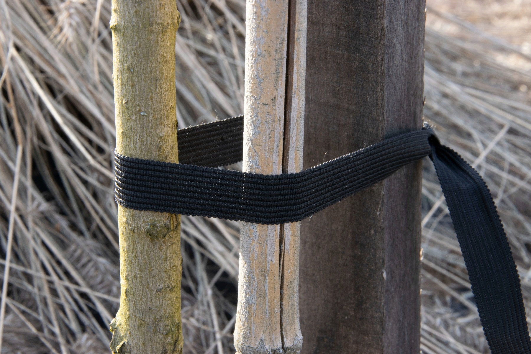 TAŚMA DO MOCOWANIA ROŚLIN DRZEW KRZEWÓW BARDZO MOCNA 26mm DŁUGA 50M 26X50 Wysokość produktu 2.6 cm