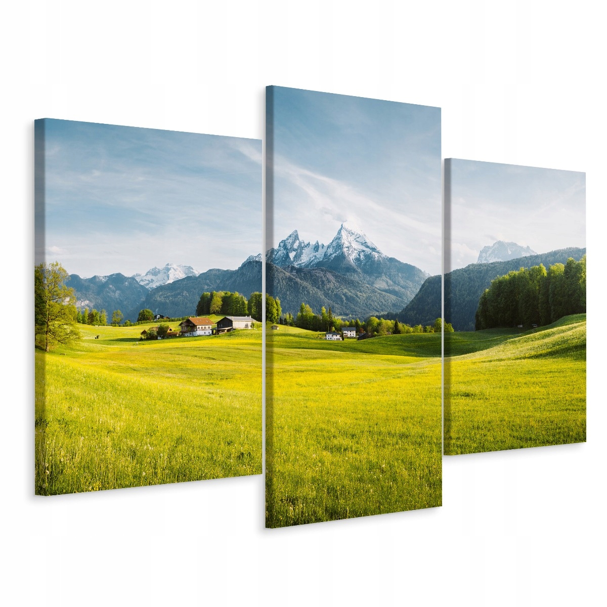 Obraz Horský triptych Krajina Polana Alpy 120x80