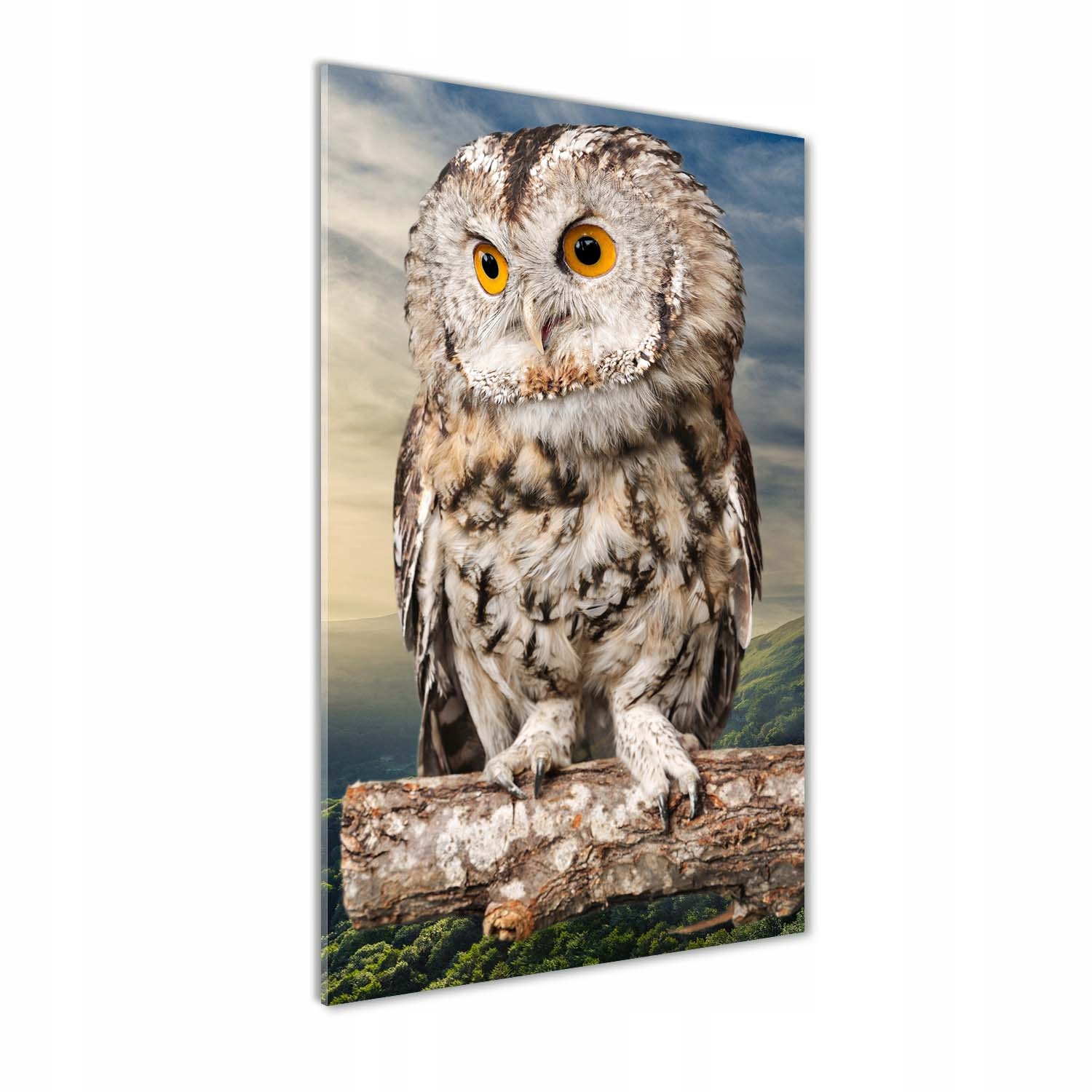 

Foto obraz szkło akrylowe Sowa na wzgórzu 70x140cm