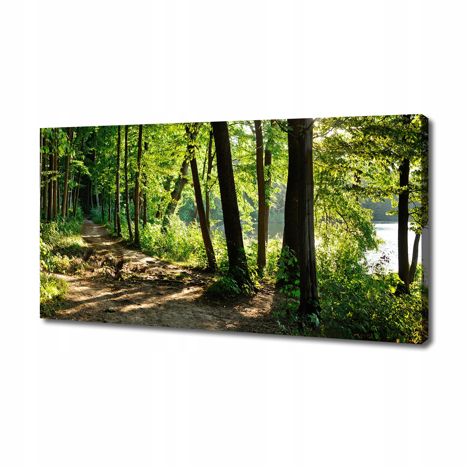 

Foto obraz na płótnie Ścieżka na łące 140x70 cm