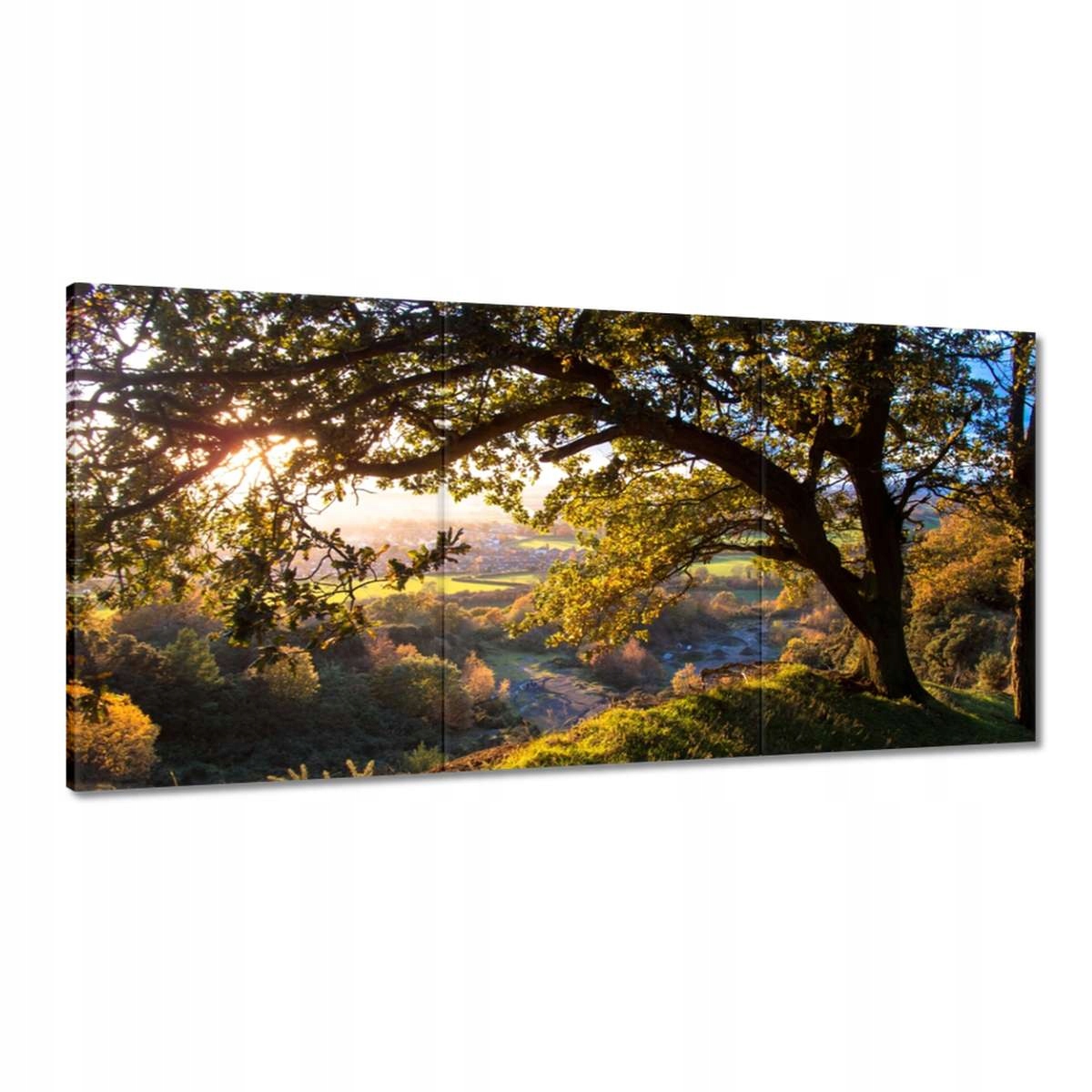 Obrazy 180x90 Pohľad do údolia