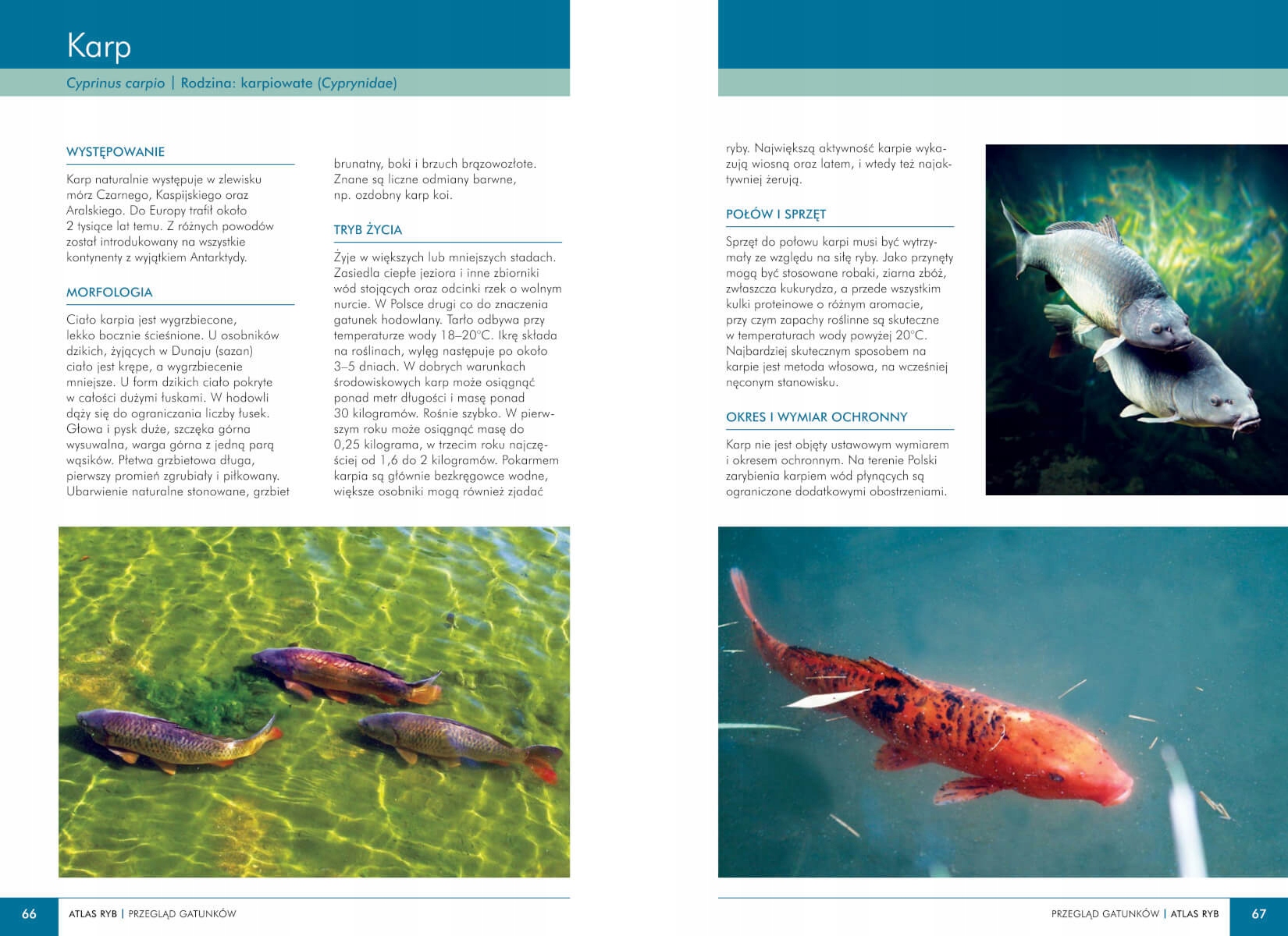 2x Zestaw Atlas Ryb Polskich + Atlas Wędkarski Hobby Rozrywka TW SBM Tytuł Atlas wędkarski