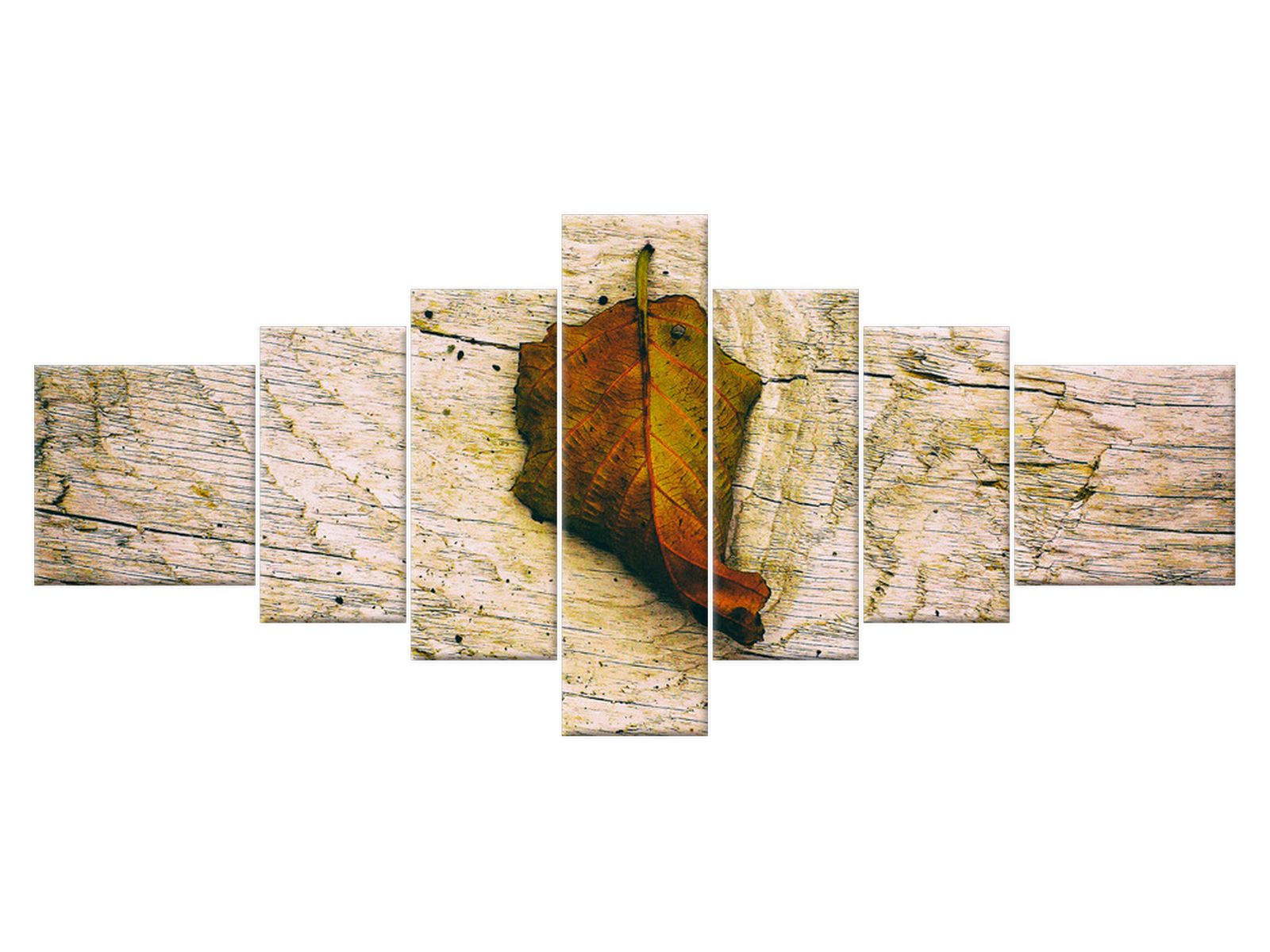 

Obraz 160x70 Rośliny Jesienny liść 7 elementowy