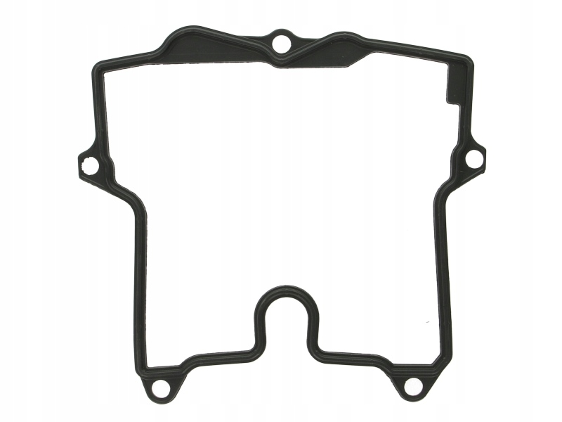 

Uszczelka Pokrywy Zaworowej Aprilia Rsv FALCO1000