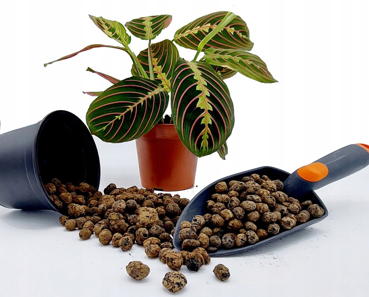 Keramzyt 8-16mm 18L idealny drenaż palm juk dracen EAN (GTIN) 5907813160813