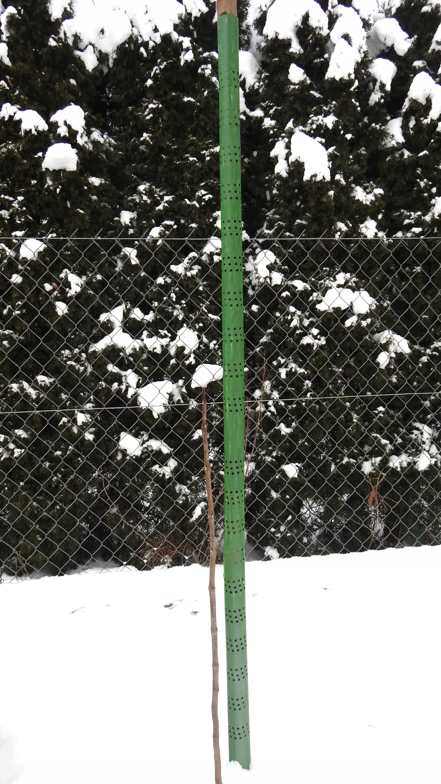 OSŁONKA NA DRZEWKA OPASKA NA PIEŃ 60 cm ! 10 szt Szerokość produktu 25 cm