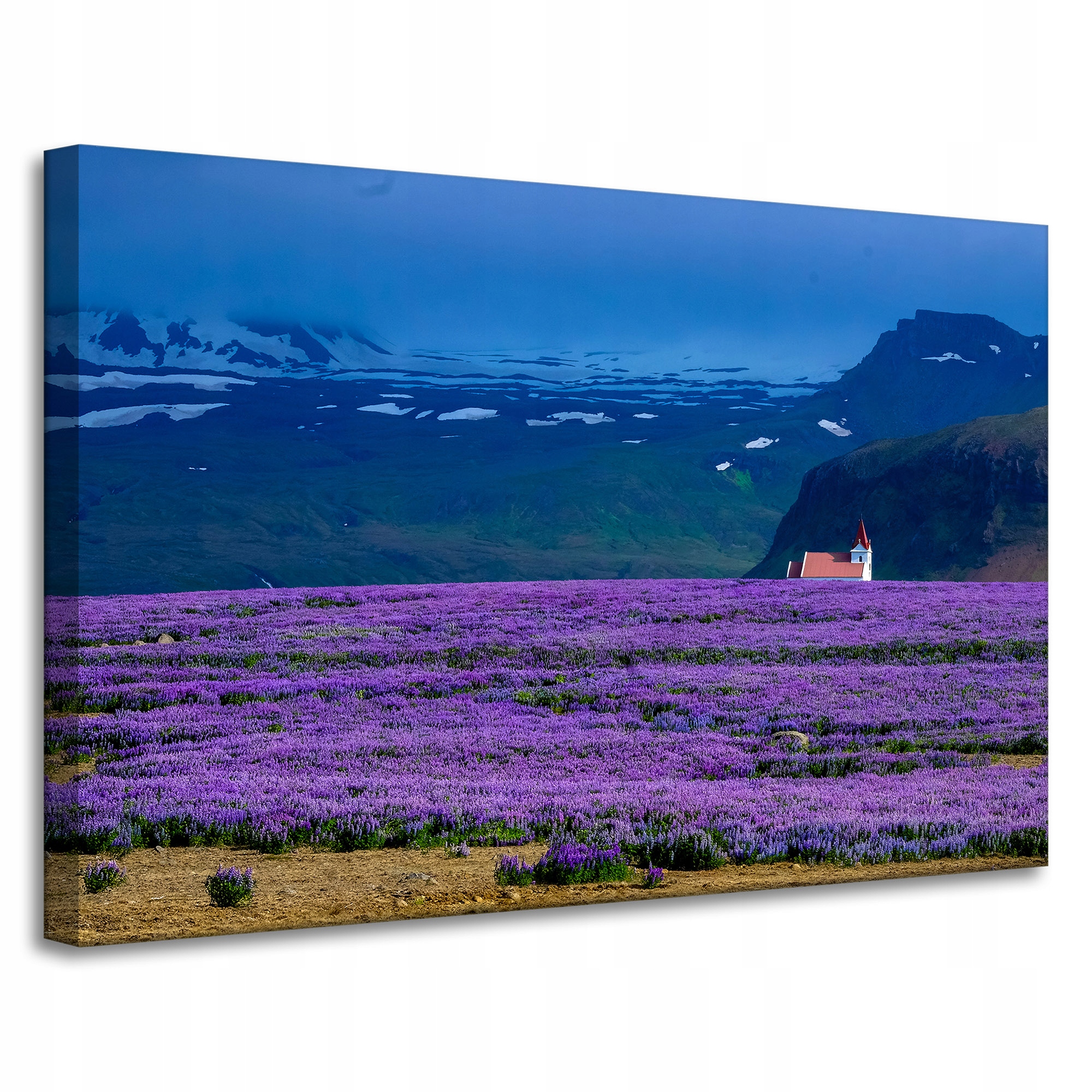 Obraz na plátně Příroda Pole levandule Květiny 90x60