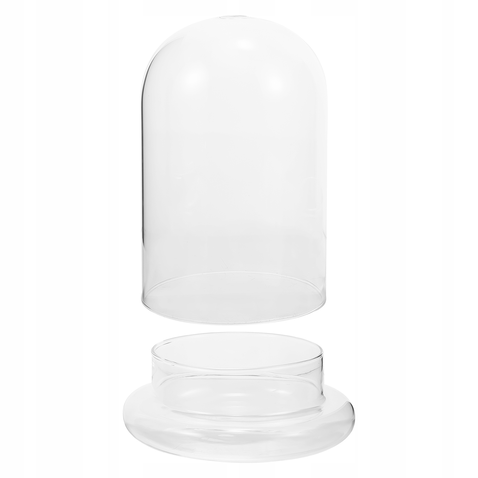 PRZEZROCZYSTY SZKLANY SŁOIK NA DZWONKI DO EKOLOGICZNEJ EKSPOZYCJI ROŚLIN