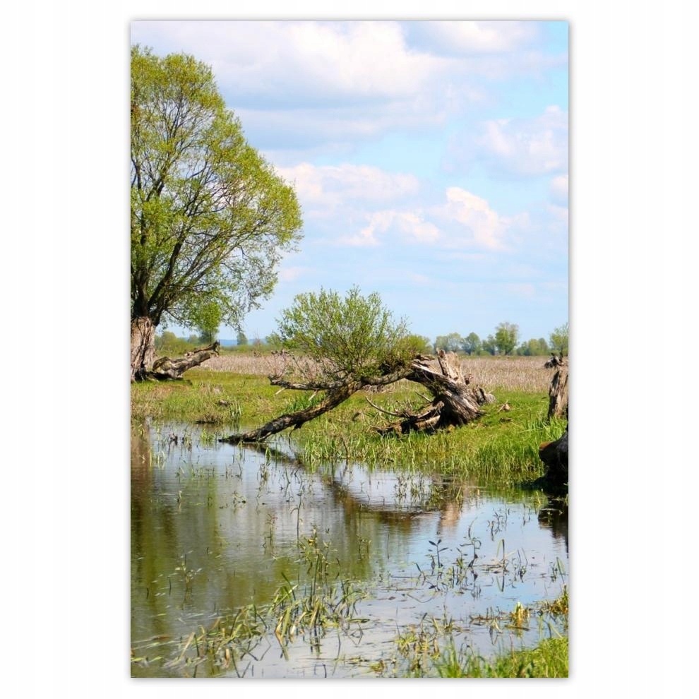 

Plakaty 40x60 Warta