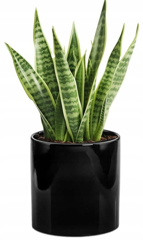 Keramický obal na květiny, černý, ozdobný, 23 cm