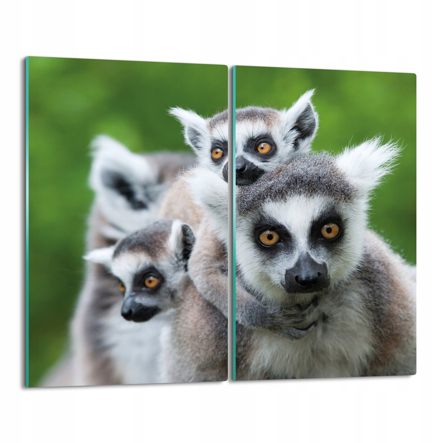 Kryt varné desky Rodina lemurů 2x 30x52