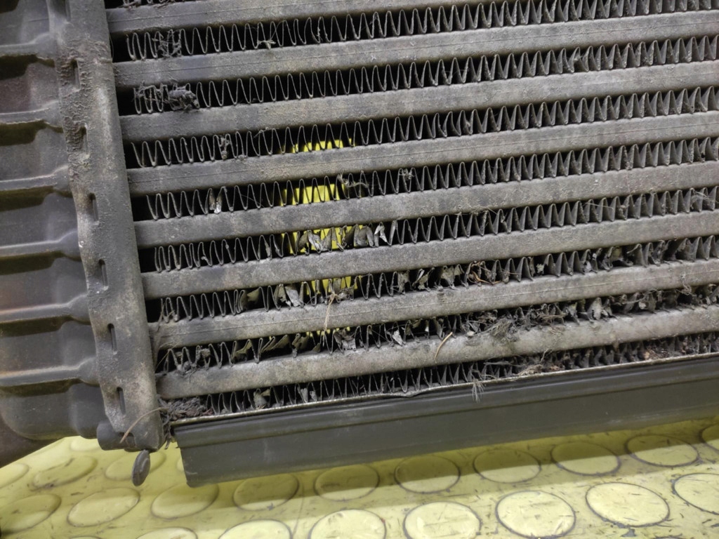 SEAT LEON II 1.9 TDI Intercooler 1K0145803F