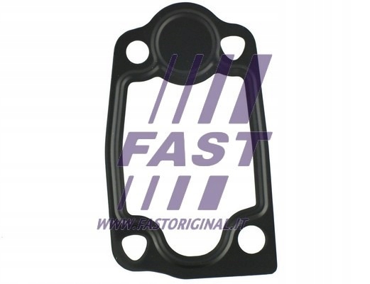 USZCZELKA TERMOSTATU do IVECO Daily Massif Producent części Fast