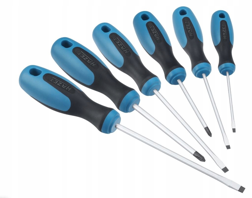 НАБІР ВИКРУТОК 6 ШТ.