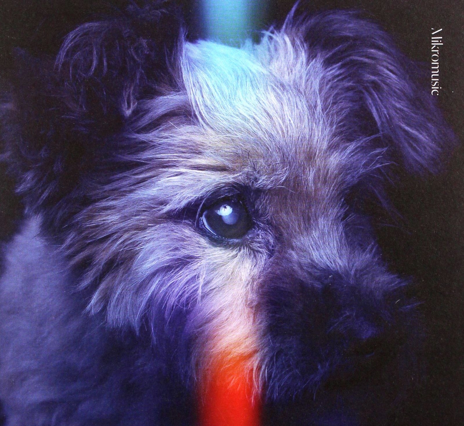 Mikromusic: Kraksa (CD)