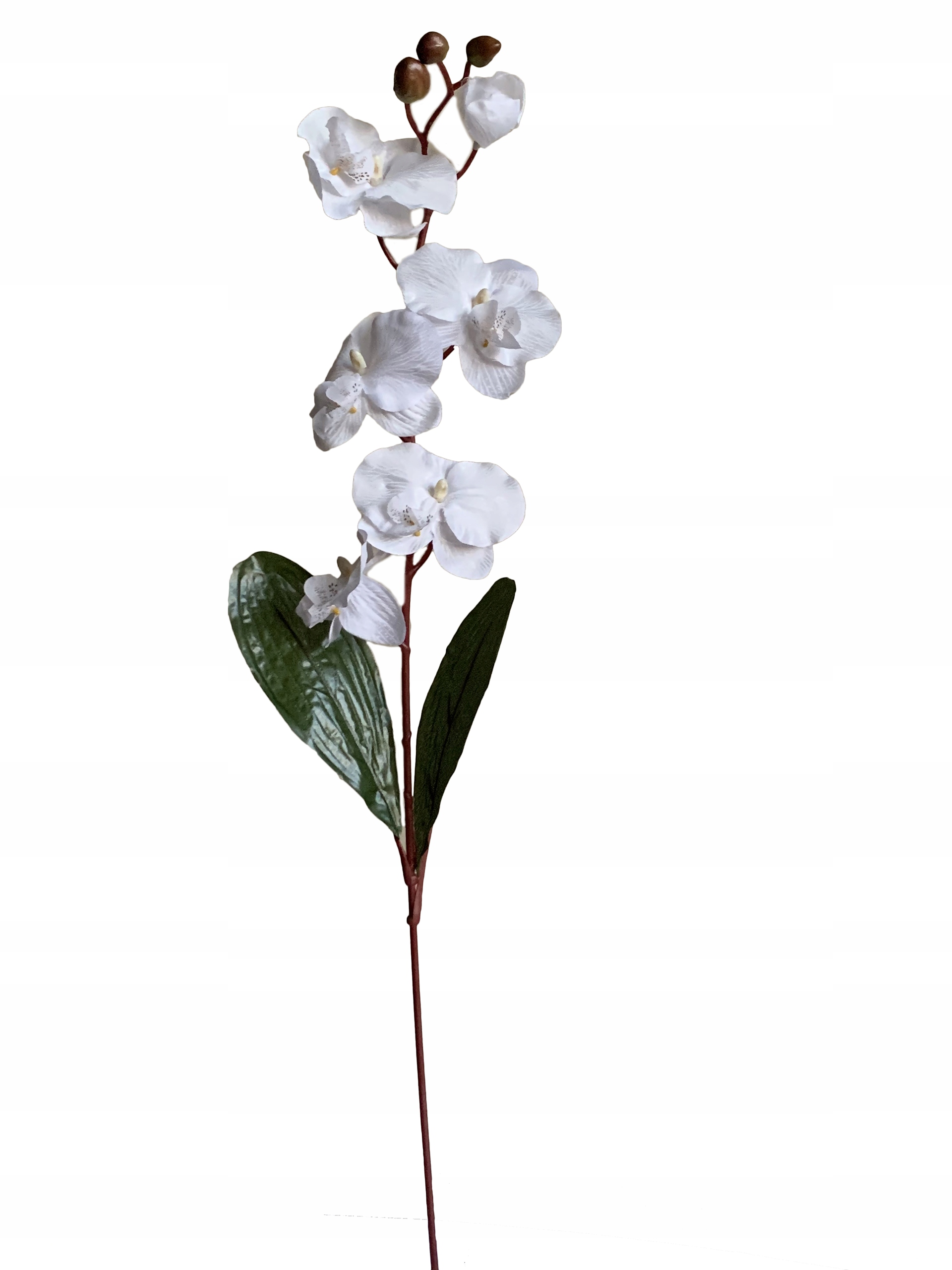 

Storczyk Orchidea Gałązka Kwiaty Sztuczne