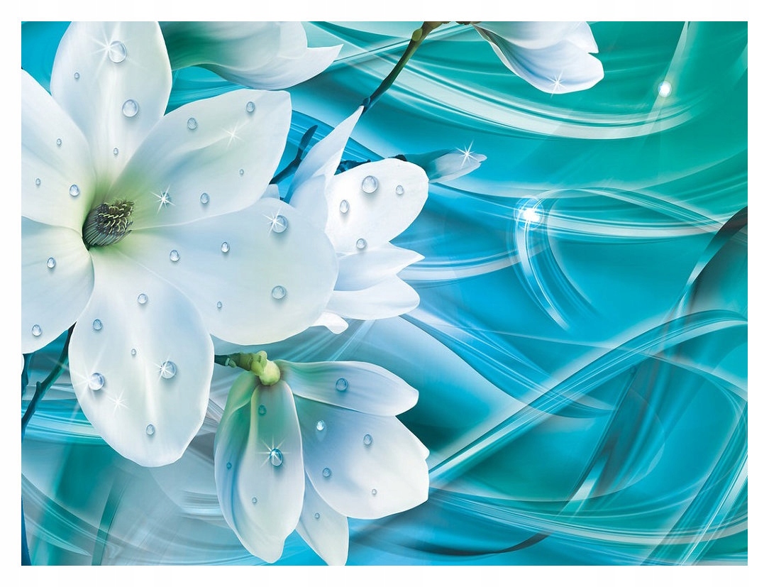 Fototapeta Magnolie kapky rosy geometrie elegance svěžest 520x318 lepidlo