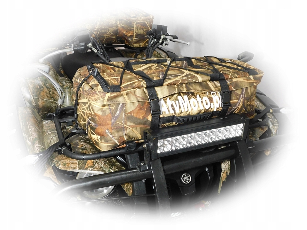 F0be37ee4b4eaefe73fadb223294