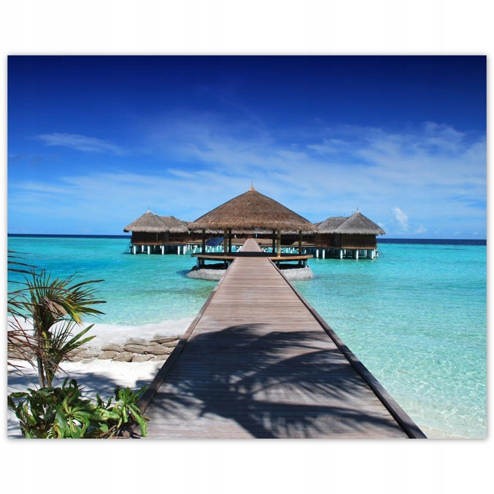 

Plakat 50x40 Tropiki