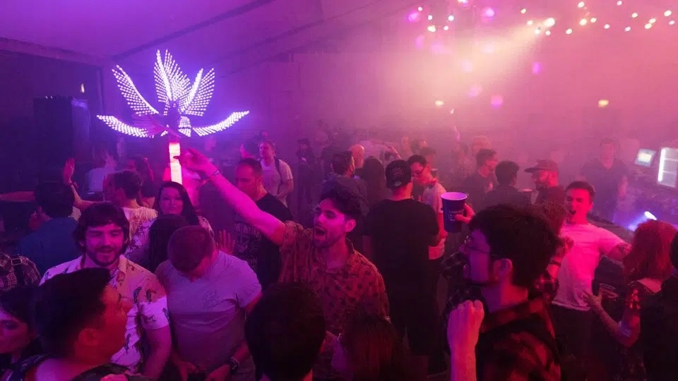 PALMA LED ZEWNĘTRZNA CAŁOROCZNA 4,5M 3045 LEDÓW ! Stan opakowania oryginalne