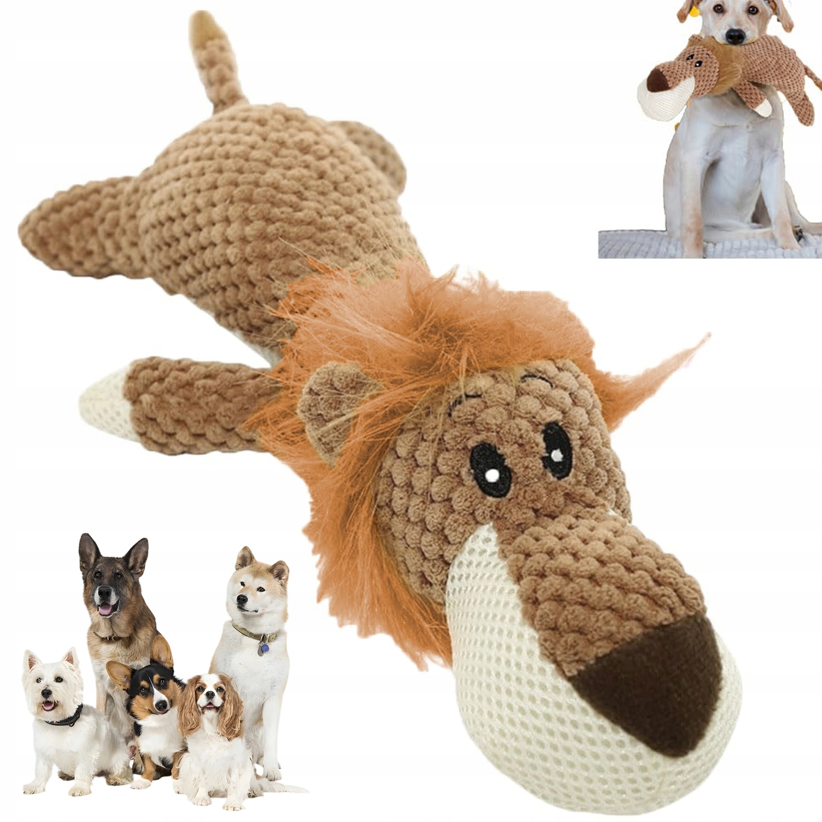 Levně Měkká Hračka Pro Psy Plyšák Lion S Pískátkem, Kousátko Pro Malé Psy