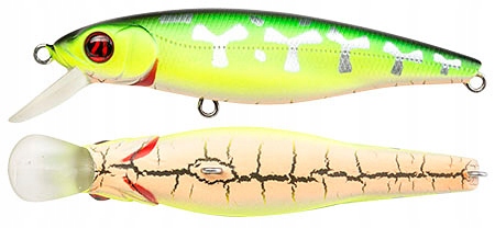 PONTOON21 Greedy Guts 44F-SR 470 Cb Fire Tiger