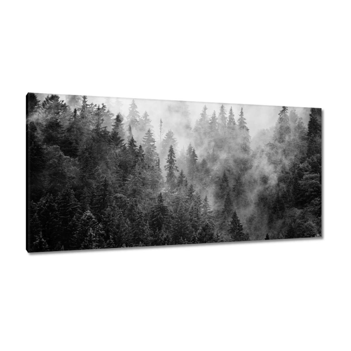 Obrazy 115x55 Krajina Šedá Hory Mlha