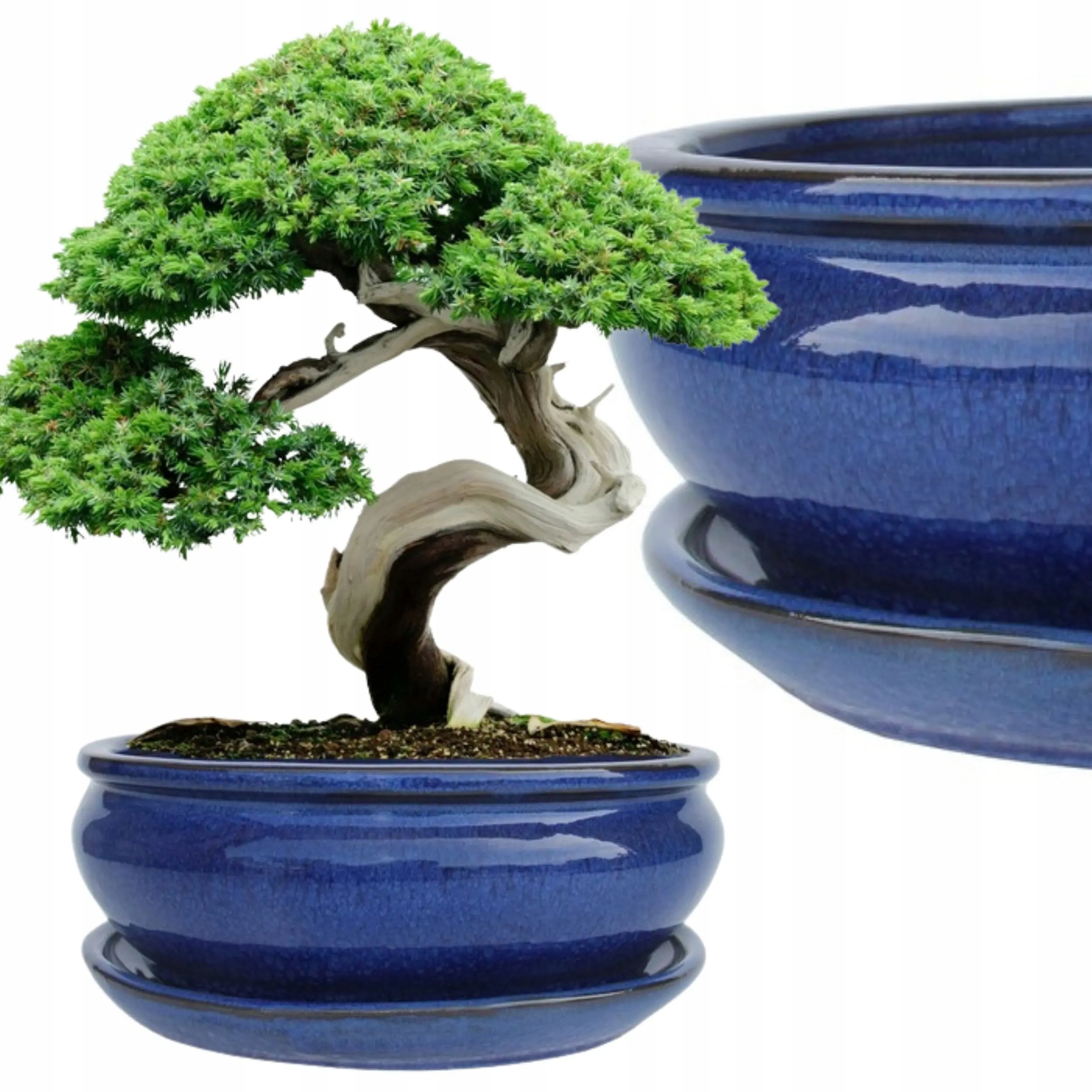Donica Do Bonsai Z Podstawką Ceramiczna Szkliwiona Niebieska 10x20,8x25,5cm