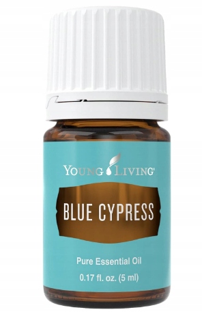 Olejek * Blue Cypress * Young Living 5 ml Cyprysowy niebieski