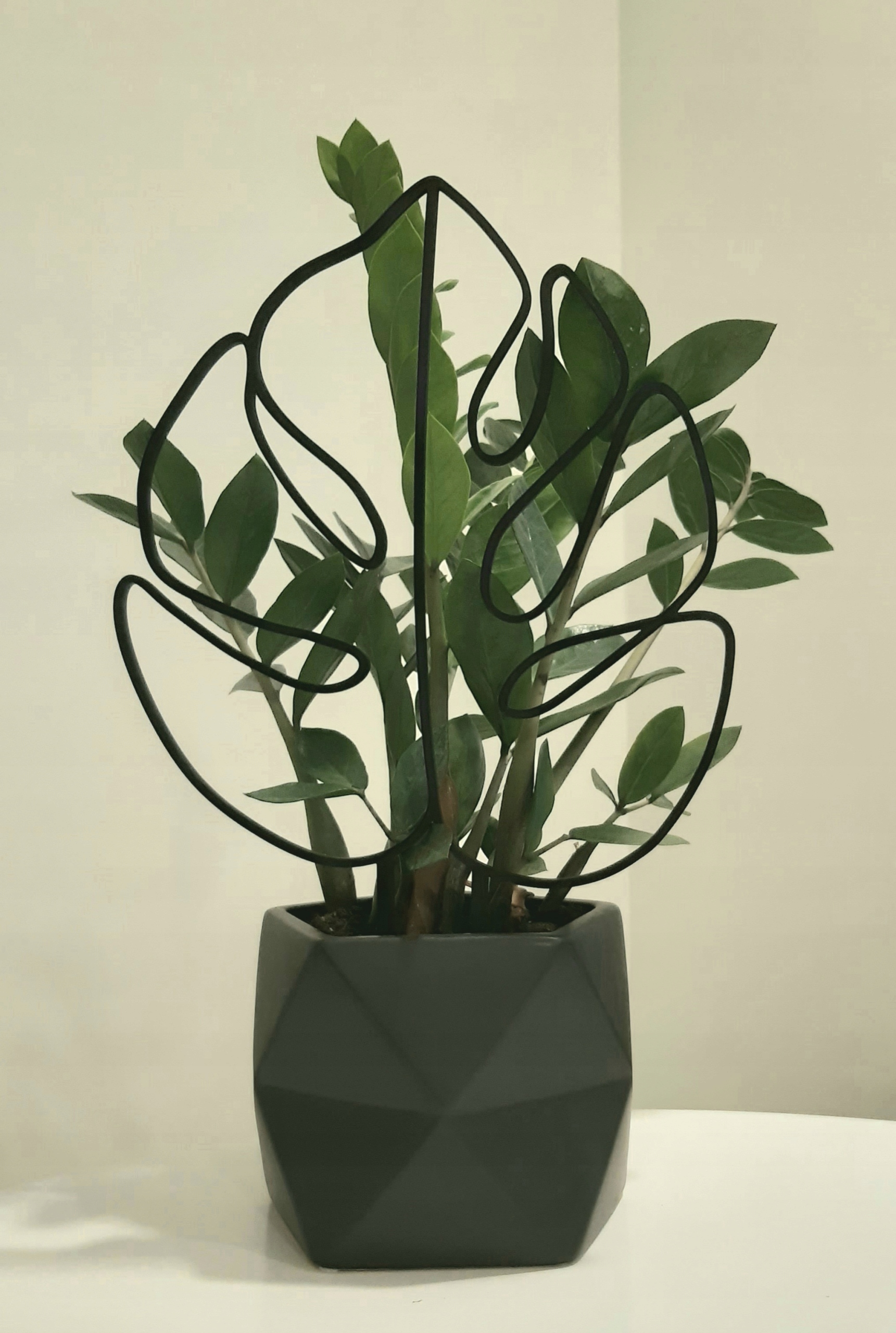 PODPÓRKA OZDOBA KWIATÓW ROŚLIN MONSTERA S 20 CM Wysokość produktu 20 cm