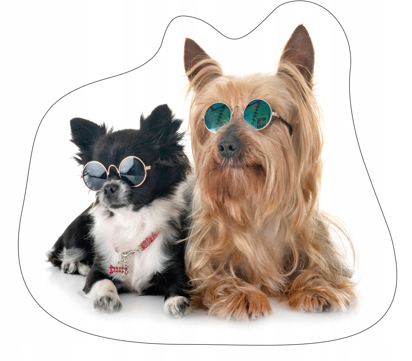 

Poduszka kształtka 3D, pies, York I Chihuahua