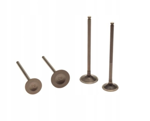 PTBD0042 - ВИХЛОПНІ КЛАПАНИ CROSS ZONGSHEN DT190