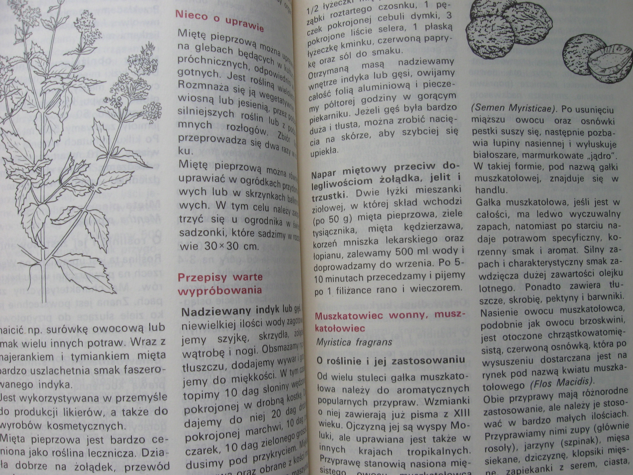 Potrawy z mleka sera śmietany +Rośliny przyprawowe Liczba stron 118