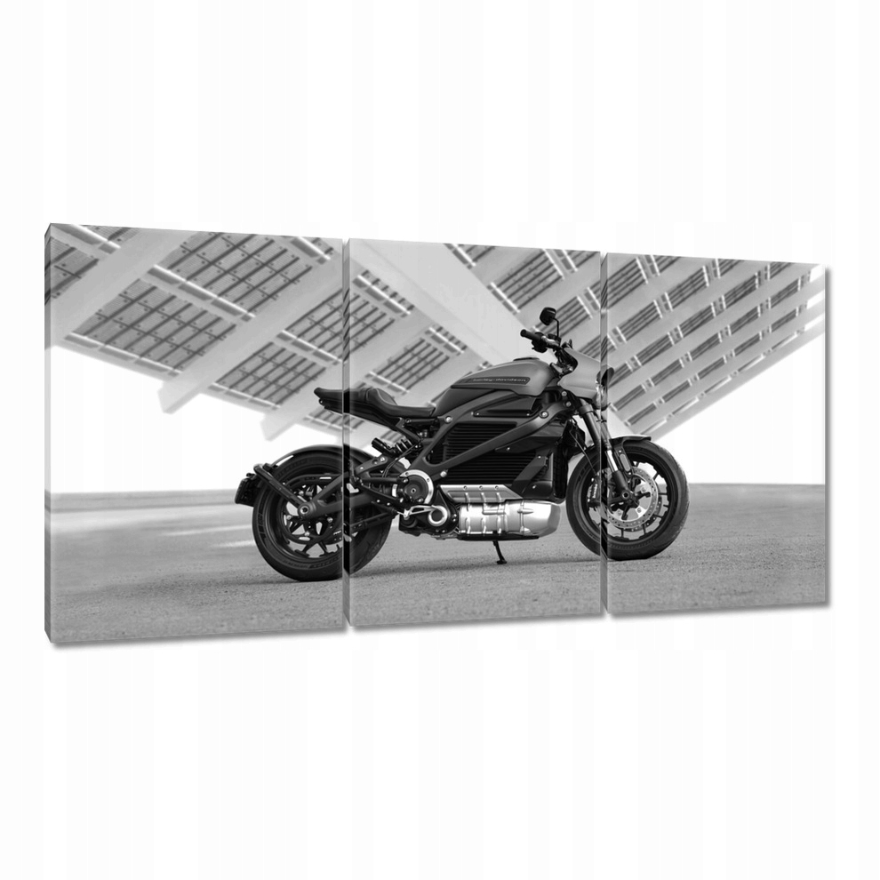 

Obrazy 120x60 Harley Davidson Motocykl
